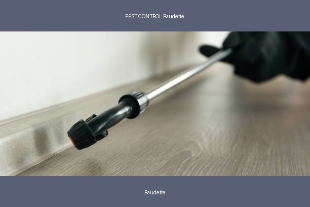 PEST CONTROL Baudette